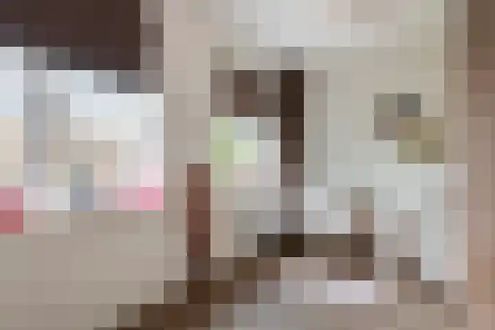 Kuyckshof 5 Meteren thumbnail 20