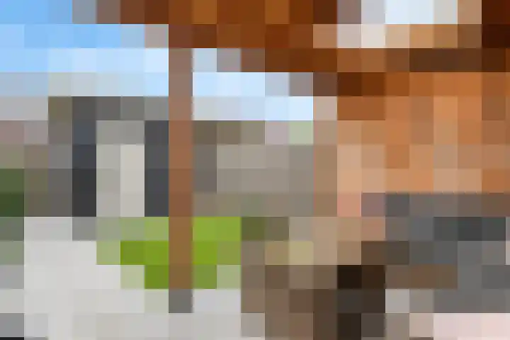 Kuyckshof 5 Meteren thumbnail 27