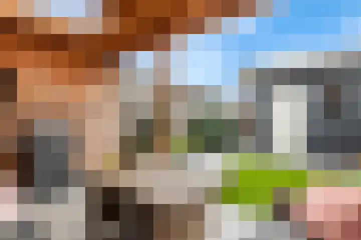 Kuyckshof 5 Meteren thumbnail 28