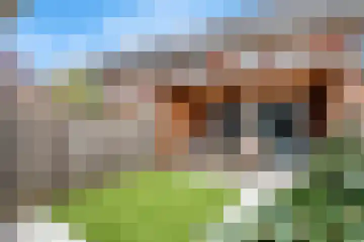 Kuyckshof 5 Meteren thumbnail 29