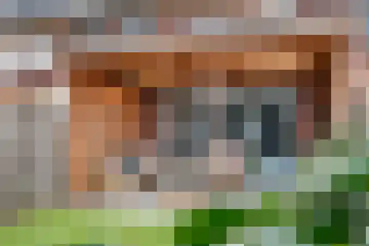 Kuyckshof 5 Meteren thumbnail 30