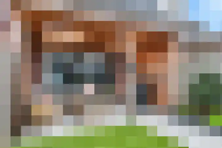 Kuyckshof 5 Meteren thumbnail 31