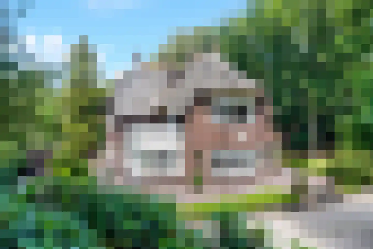 Kuyerhuislaan 11 Zwolle