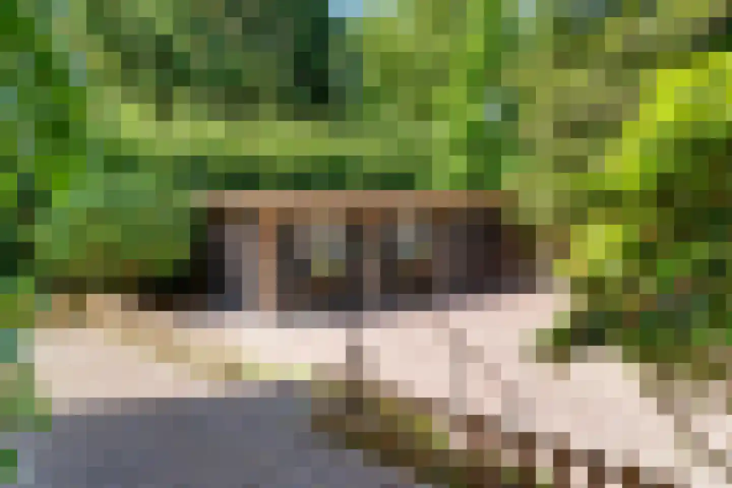 Kuyerhuislaan 11 Zwolle thumbnail 12