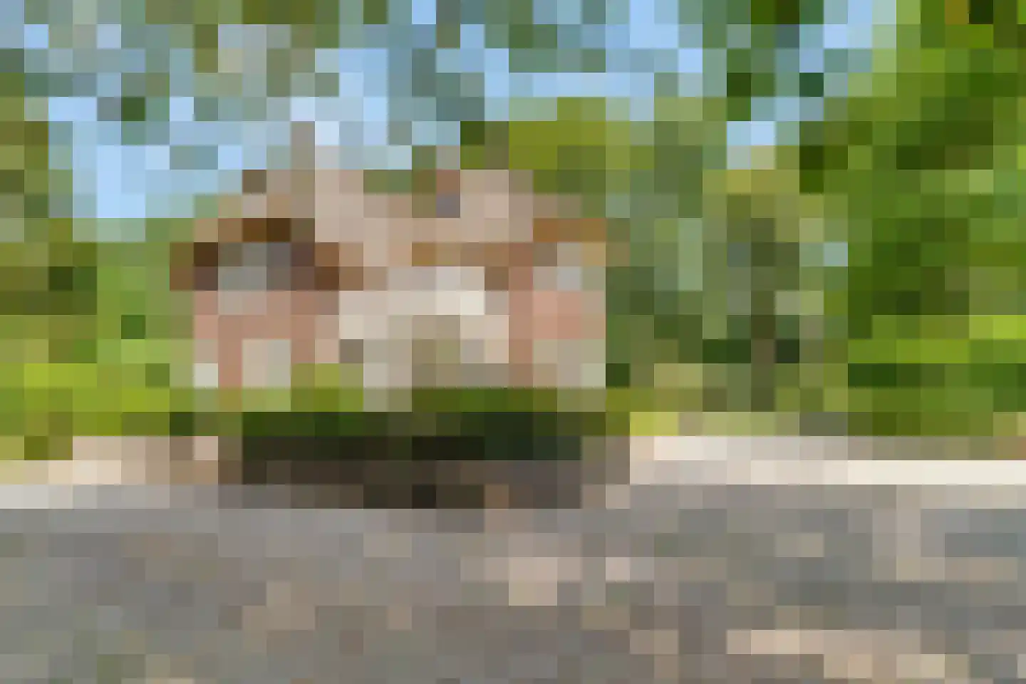 Kuyerhuislaan 11 Zwolle thumbnail 13