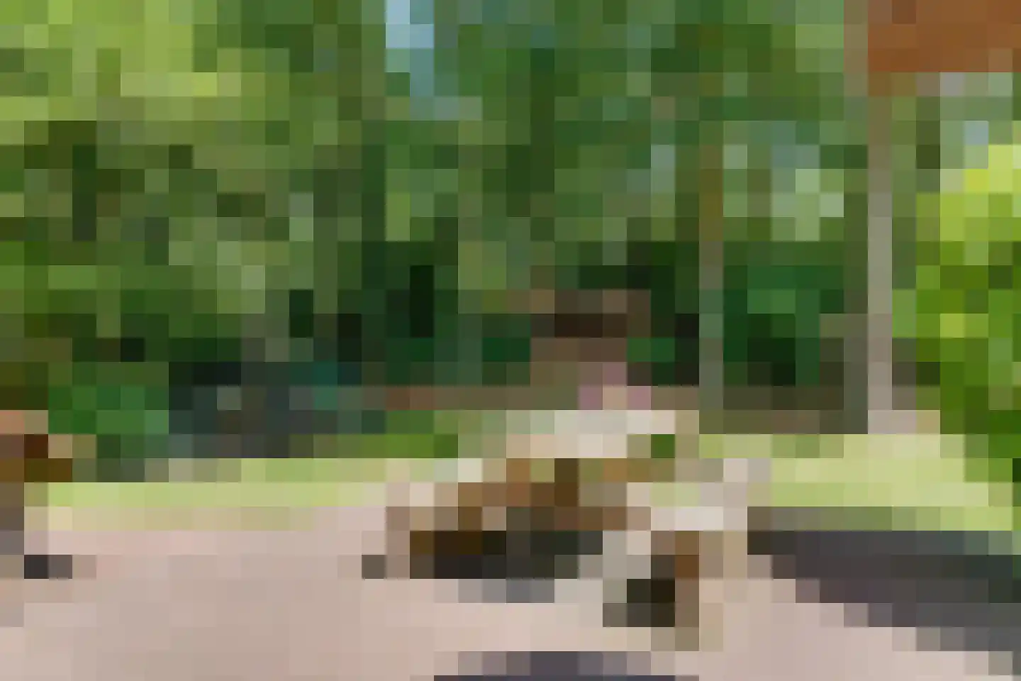 Kuyerhuislaan 11 Zwolle thumbnail 16