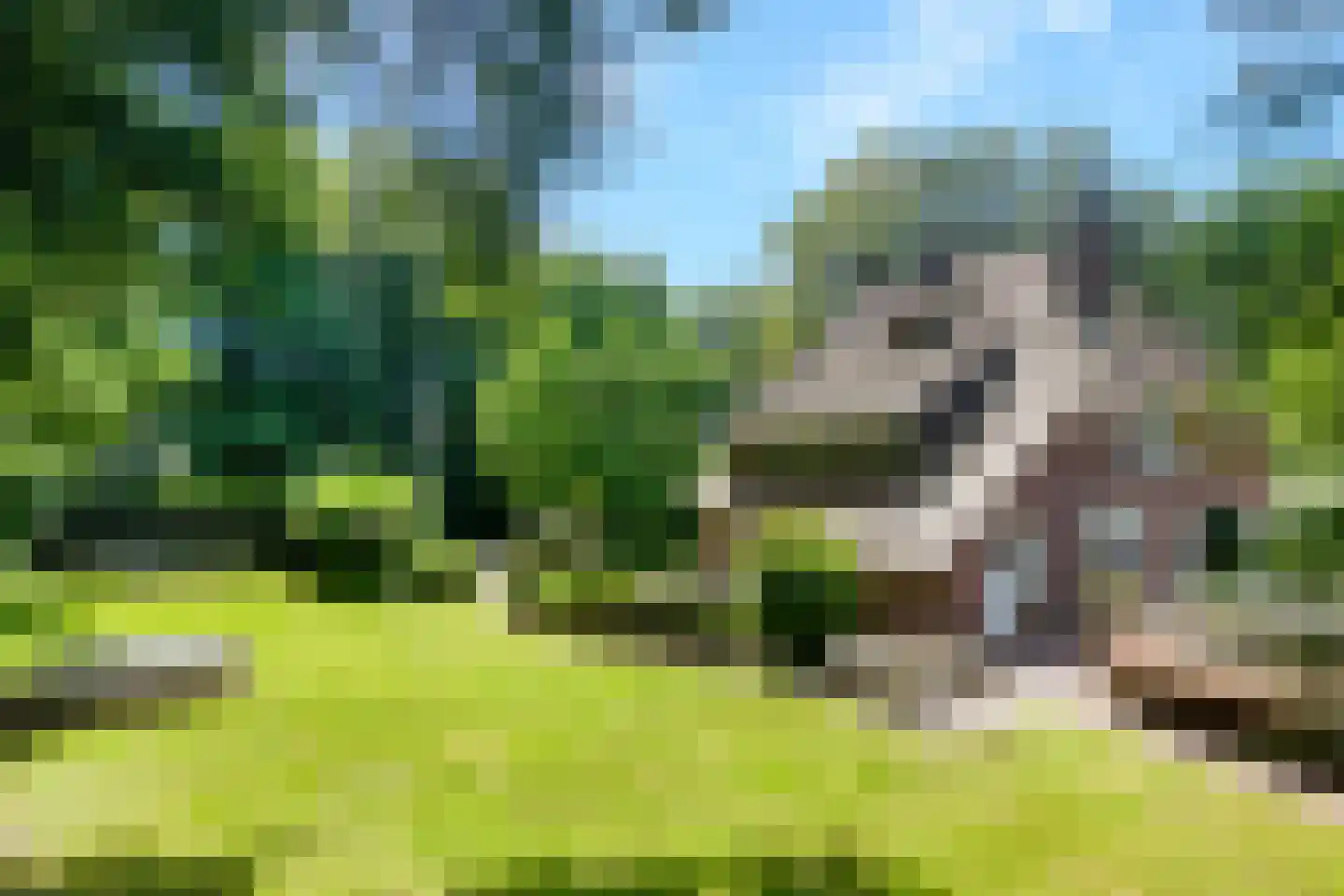 Kuyerhuislaan 11 Zwolle thumbnail 17