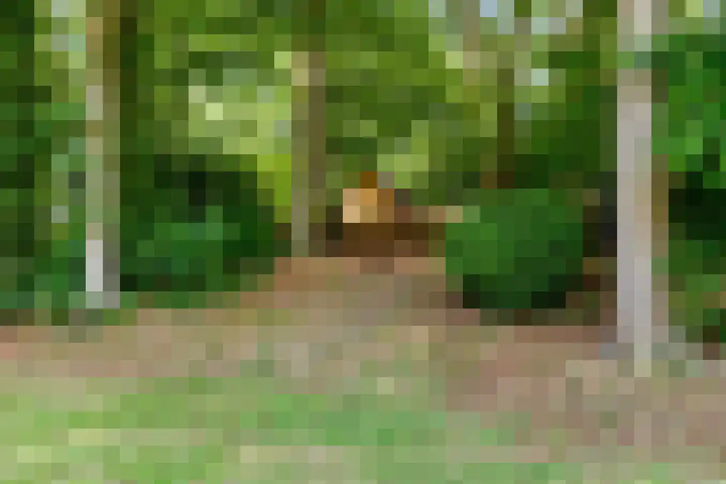 Kuyerhuislaan 11 Zwolle thumbnail 19