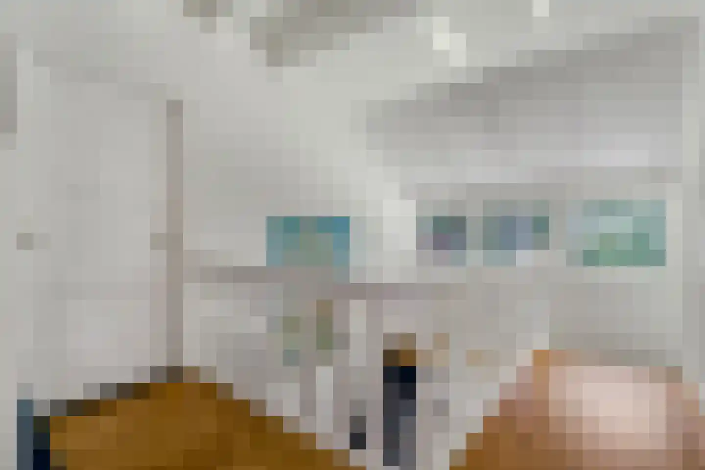 Kuyerhuislaan 11 Zwolle thumbnail 37