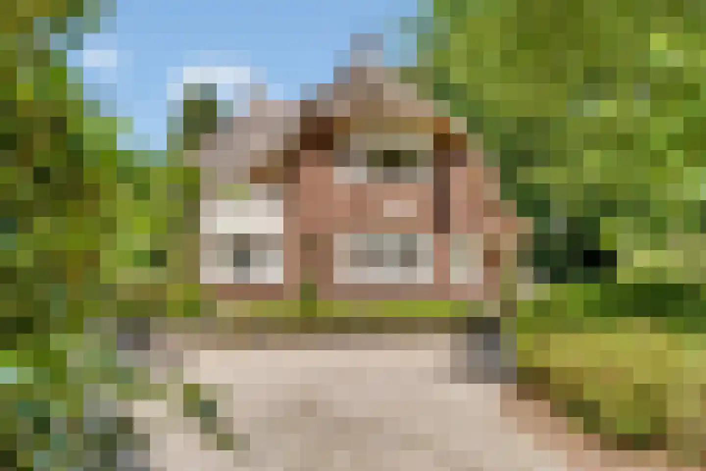 Kuyerhuislaan 11 Zwolle thumbnail 4