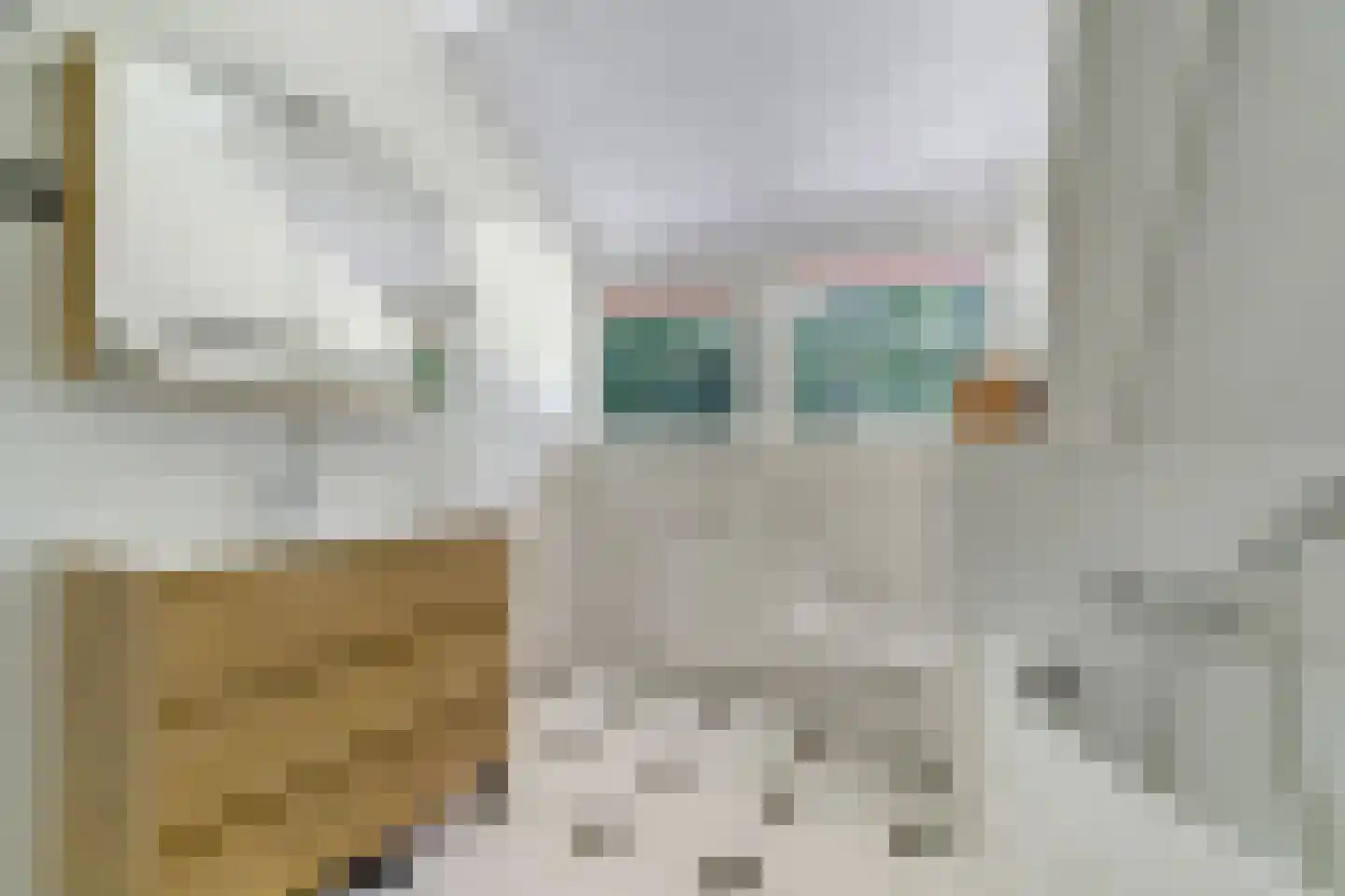 Kuyerhuislaan 11 Zwolle thumbnail 43