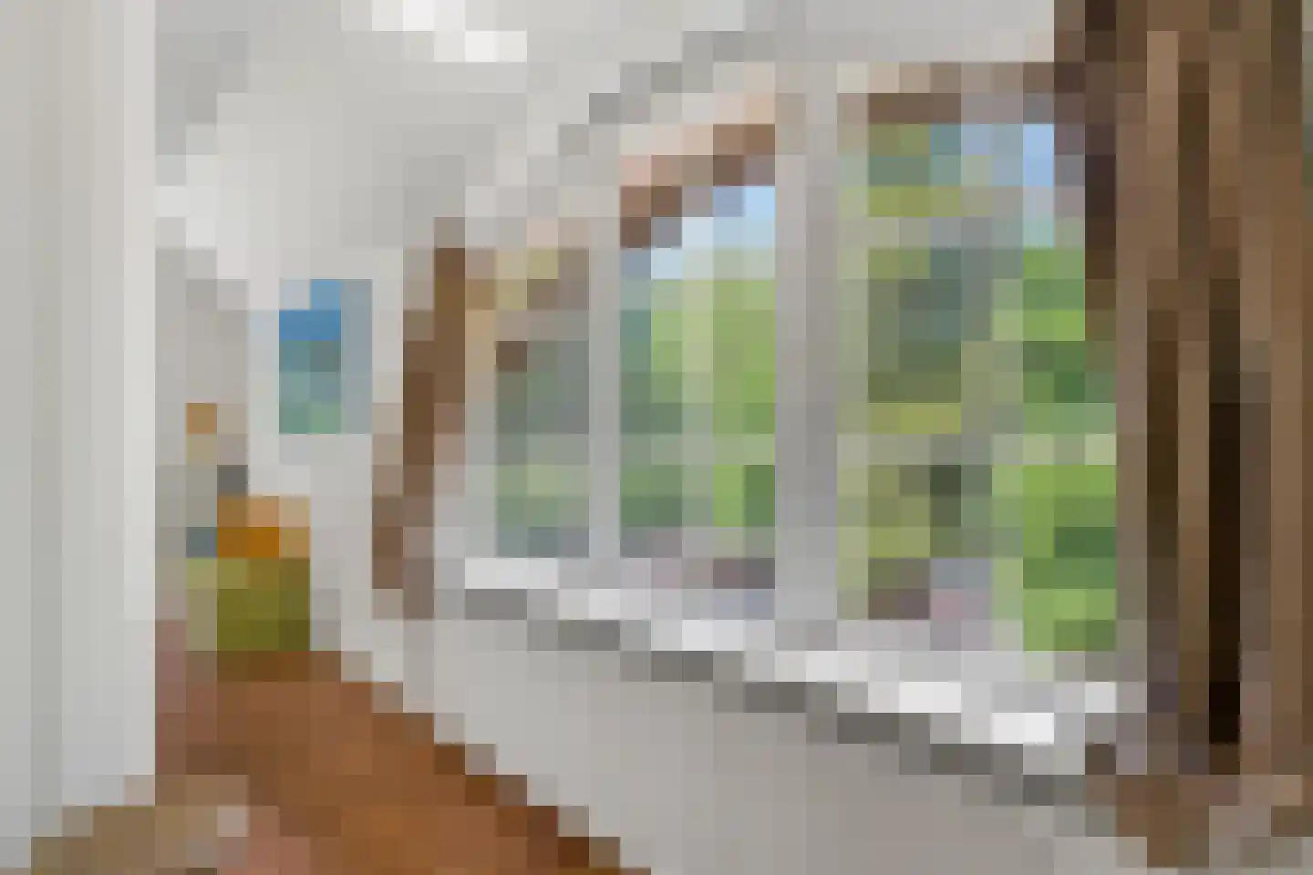 Kuyerhuislaan 11 Zwolle thumbnail 47