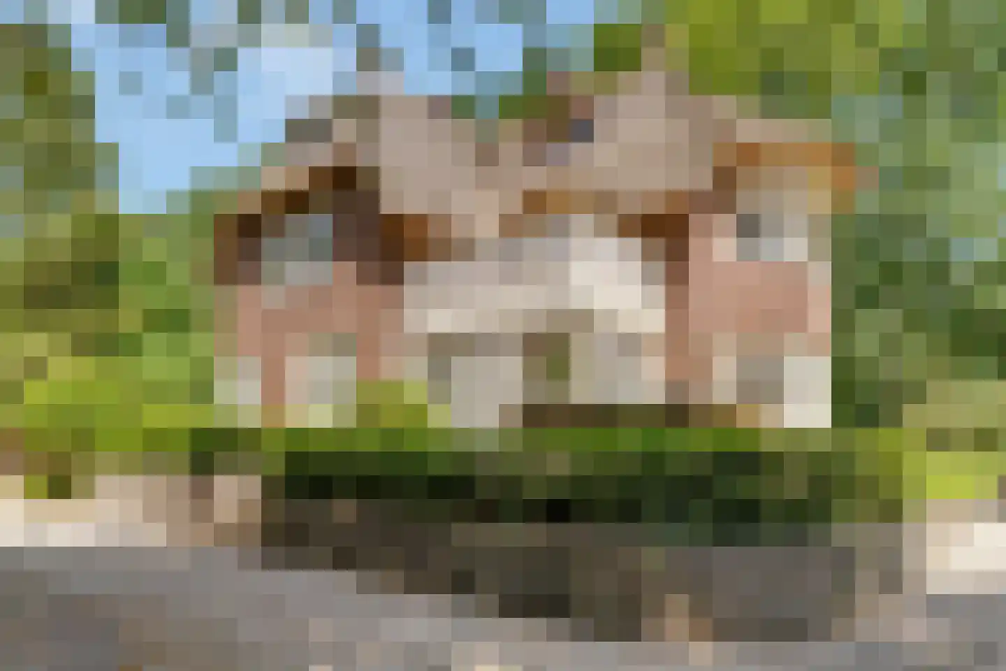 Kuyerhuislaan 11 Zwolle thumbnail 5