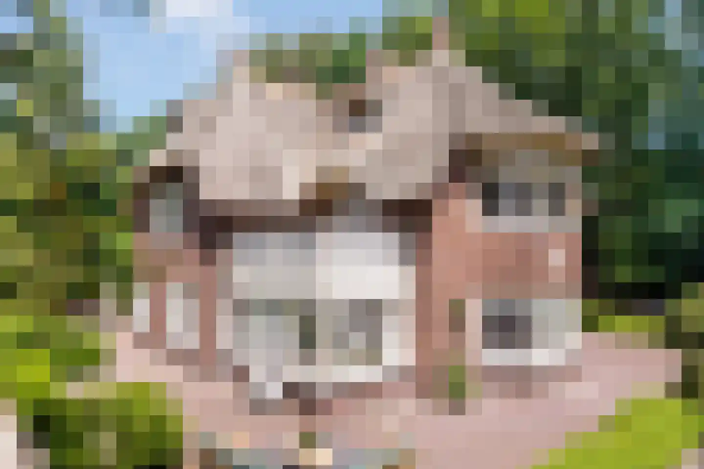 Kuyerhuislaan 11 Zwolle thumbnail 57
