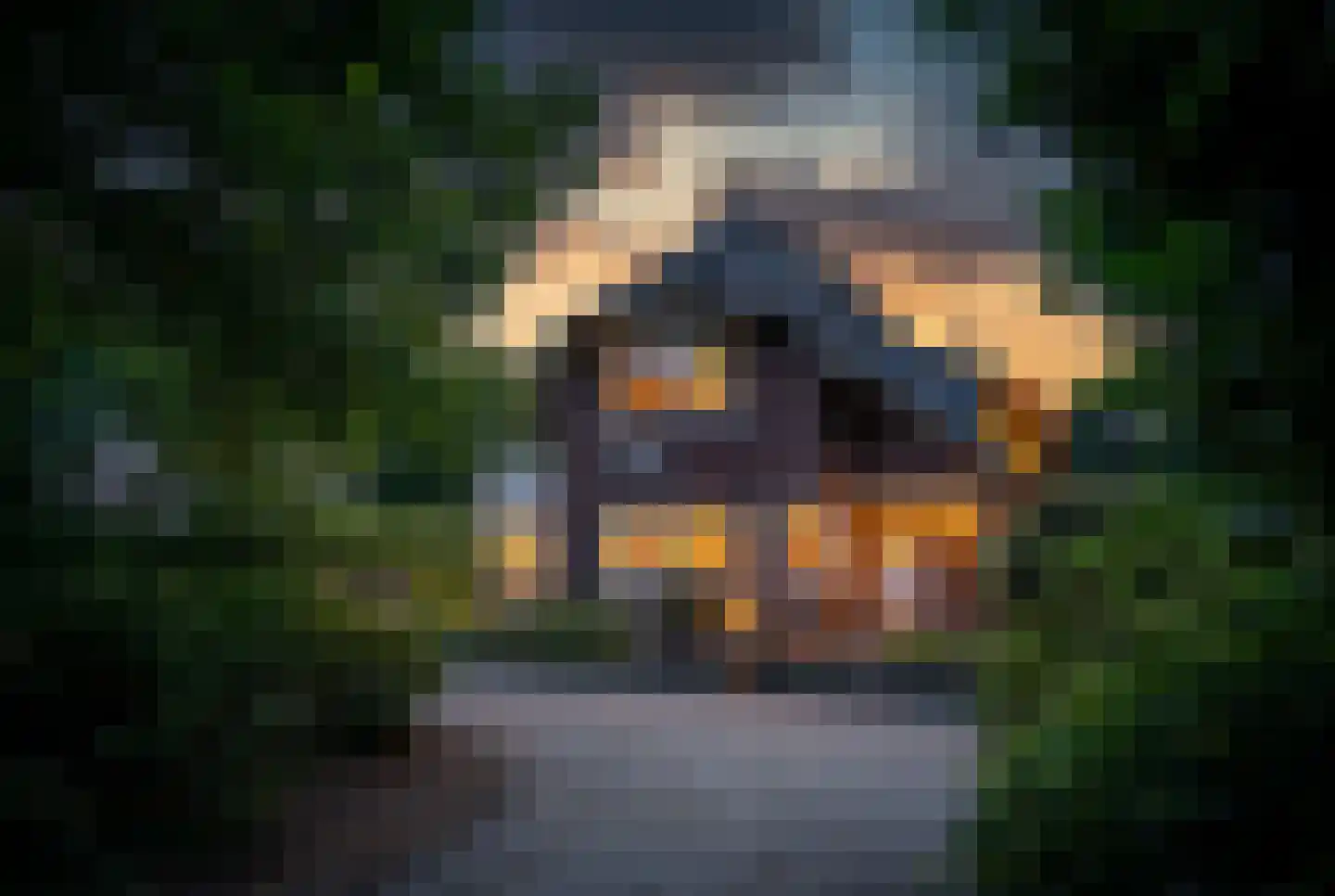 Kuyerhuislaan 11 Zwolle thumbnail 7