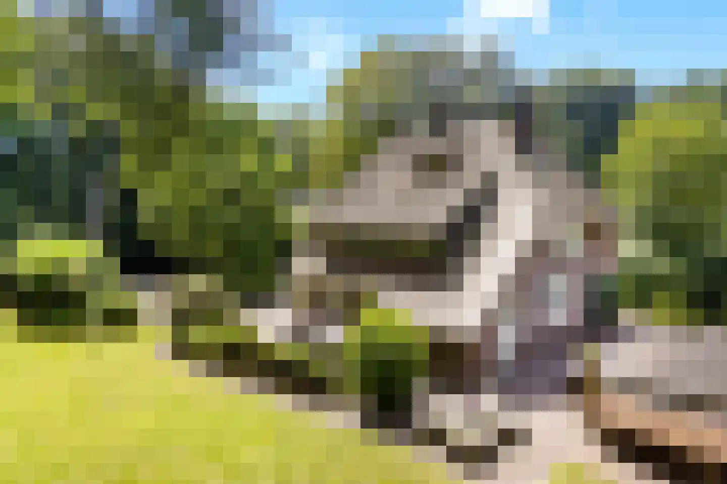 Kuyerhuislaan 11 Zwolle thumbnail 8