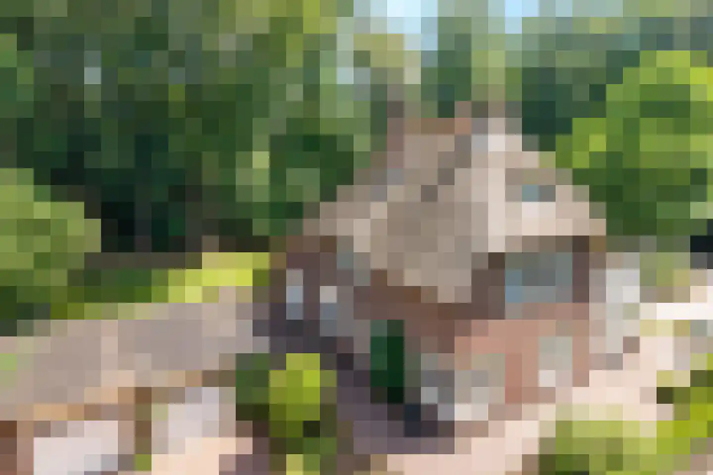 Kuyerhuislaan 11 Zwolle thumbnail 9