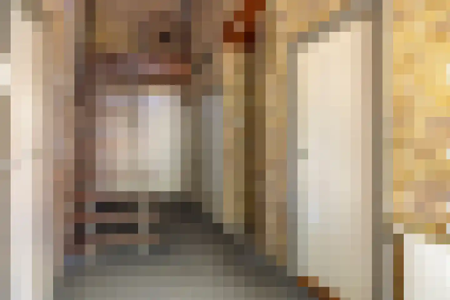 Kuyerhuislaan 17 Zwolle thumbnail 20