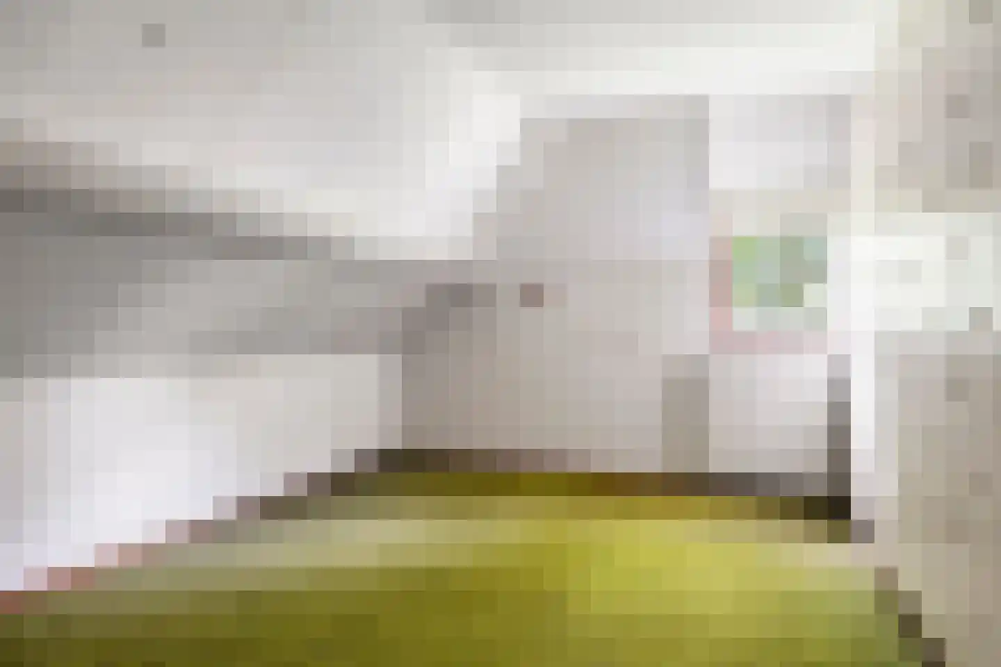 Kuyerhuislaan 17 Zwolle thumbnail 25