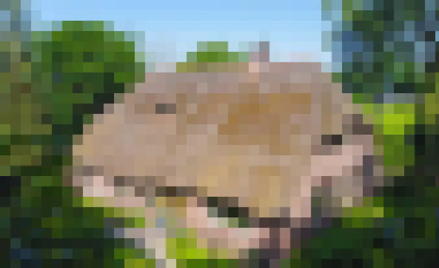 Kuyerhuislaan 17 Zwolle thumbnail 31