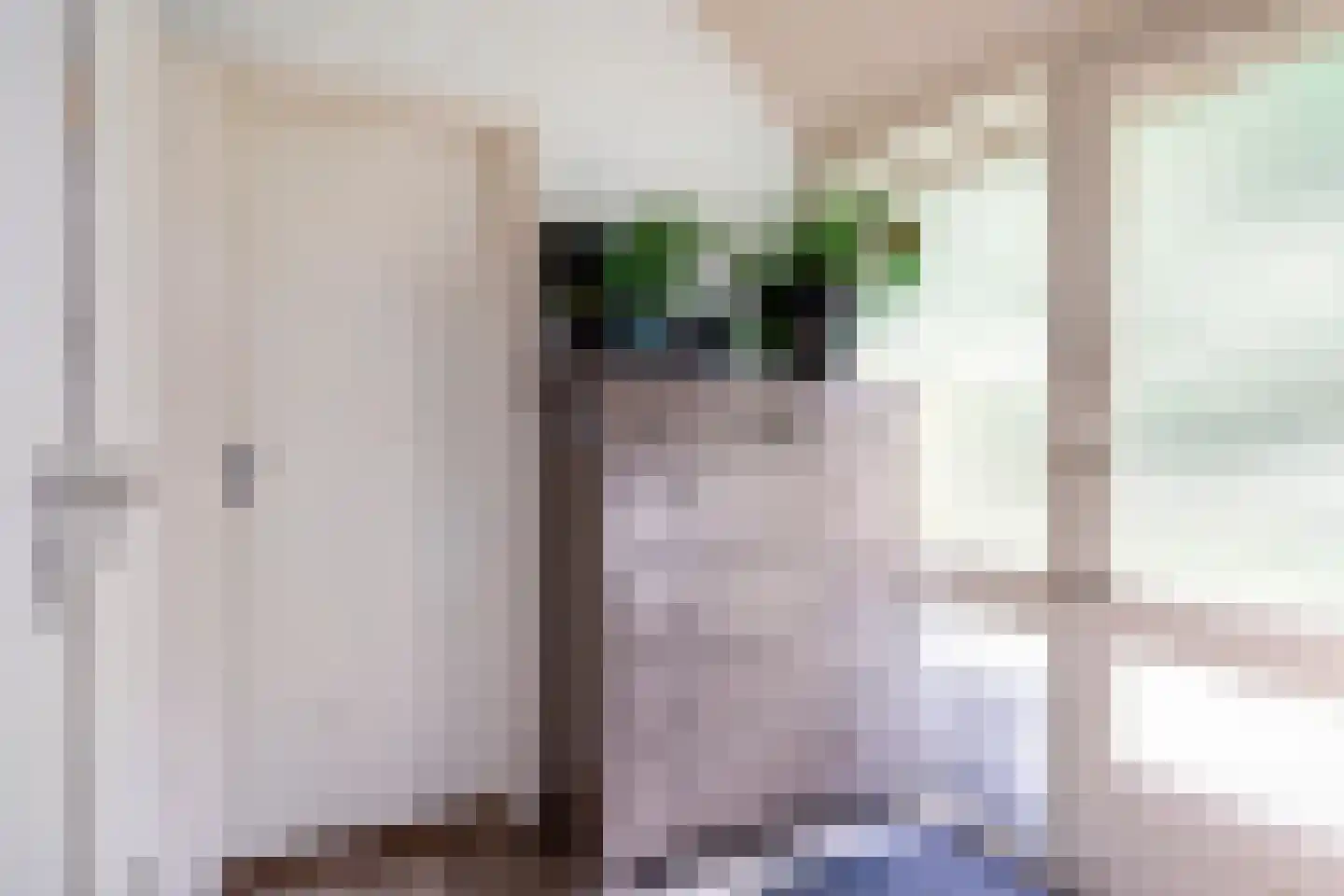 Kuyerhuislaan 17 Zwolle thumbnail 33