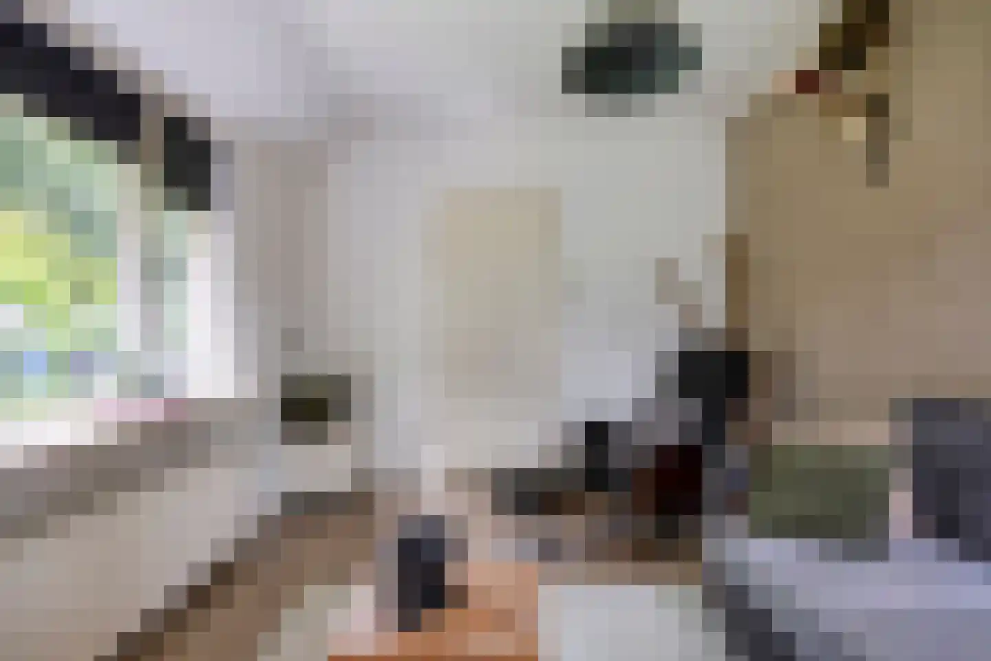 Kuyerhuislaan 17 Zwolle thumbnail 35