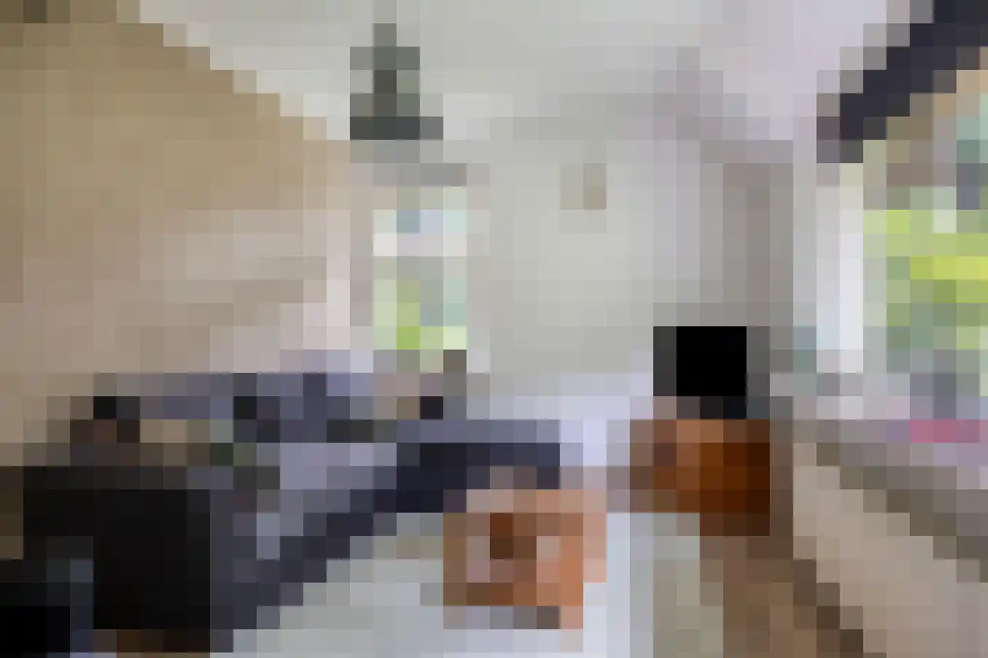 Kuyerhuislaan 17 Zwolle thumbnail 36