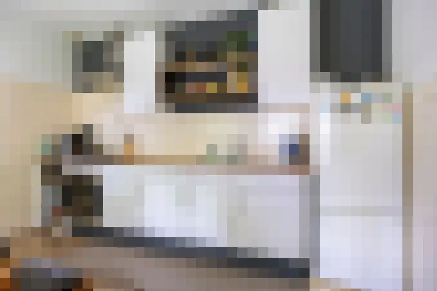 Kuyerhuislaan 17 Zwolle thumbnail 37