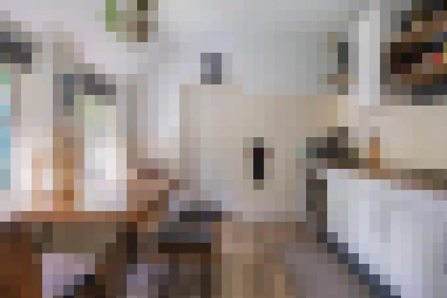 Kuyerhuislaan 17 Zwolle thumbnail 39