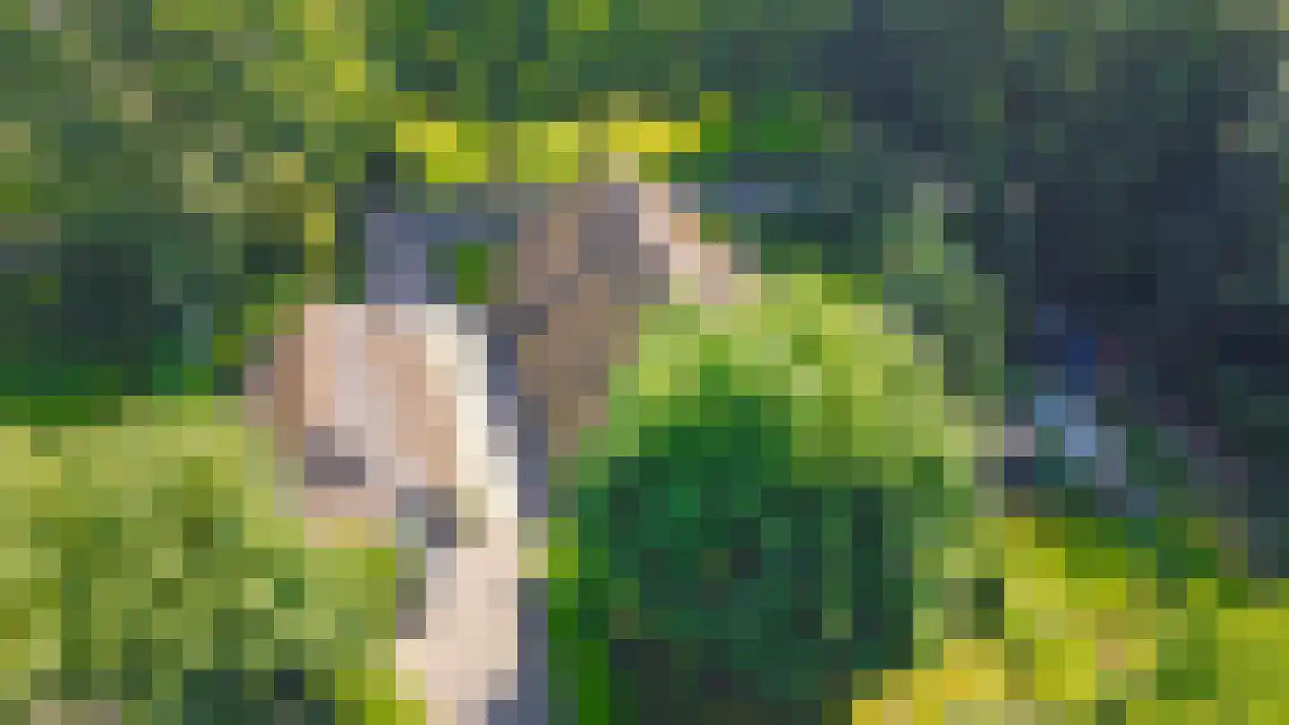Kuyerhuislaan 17 Zwolle thumbnail 4