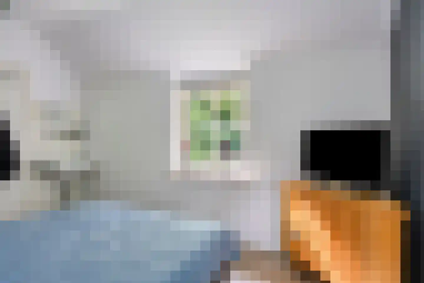 Kuyerhuislaan 17 Zwolle thumbnail 41