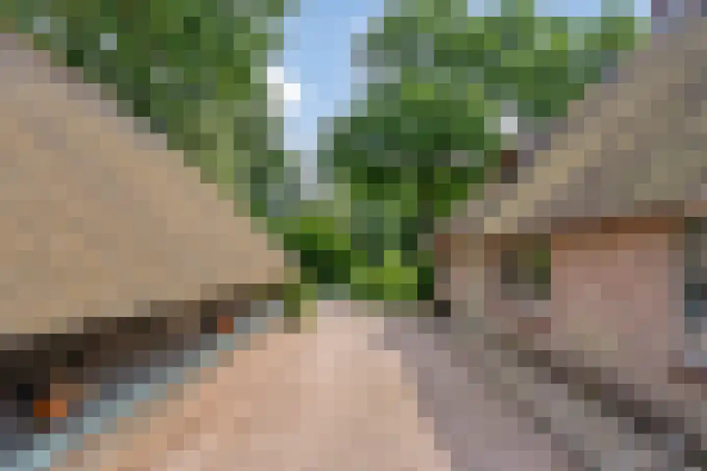 Kuyerhuislaan 17 Zwolle thumbnail 48