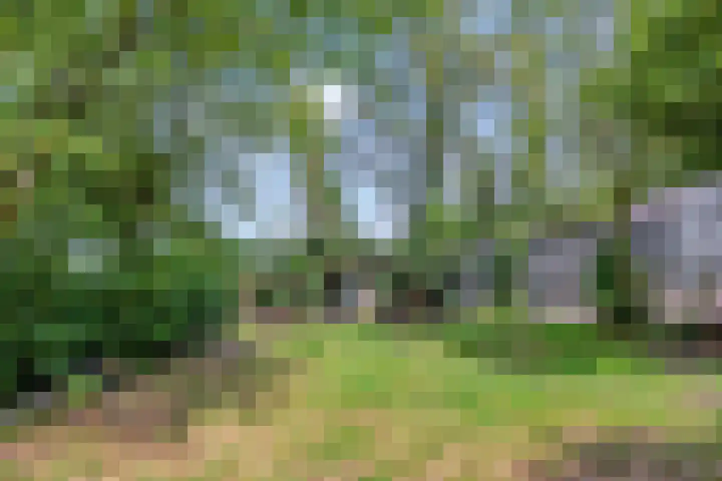 Kuyerhuislaan 17 Zwolle thumbnail 52