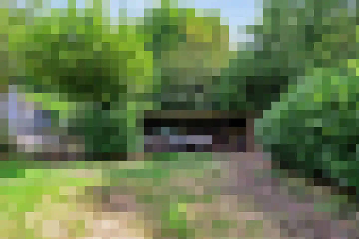 Kuyerhuislaan 17 Zwolle thumbnail 55