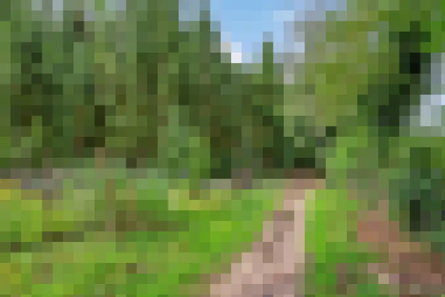 Kuyerhuislaan 17 Zwolle thumbnail 59