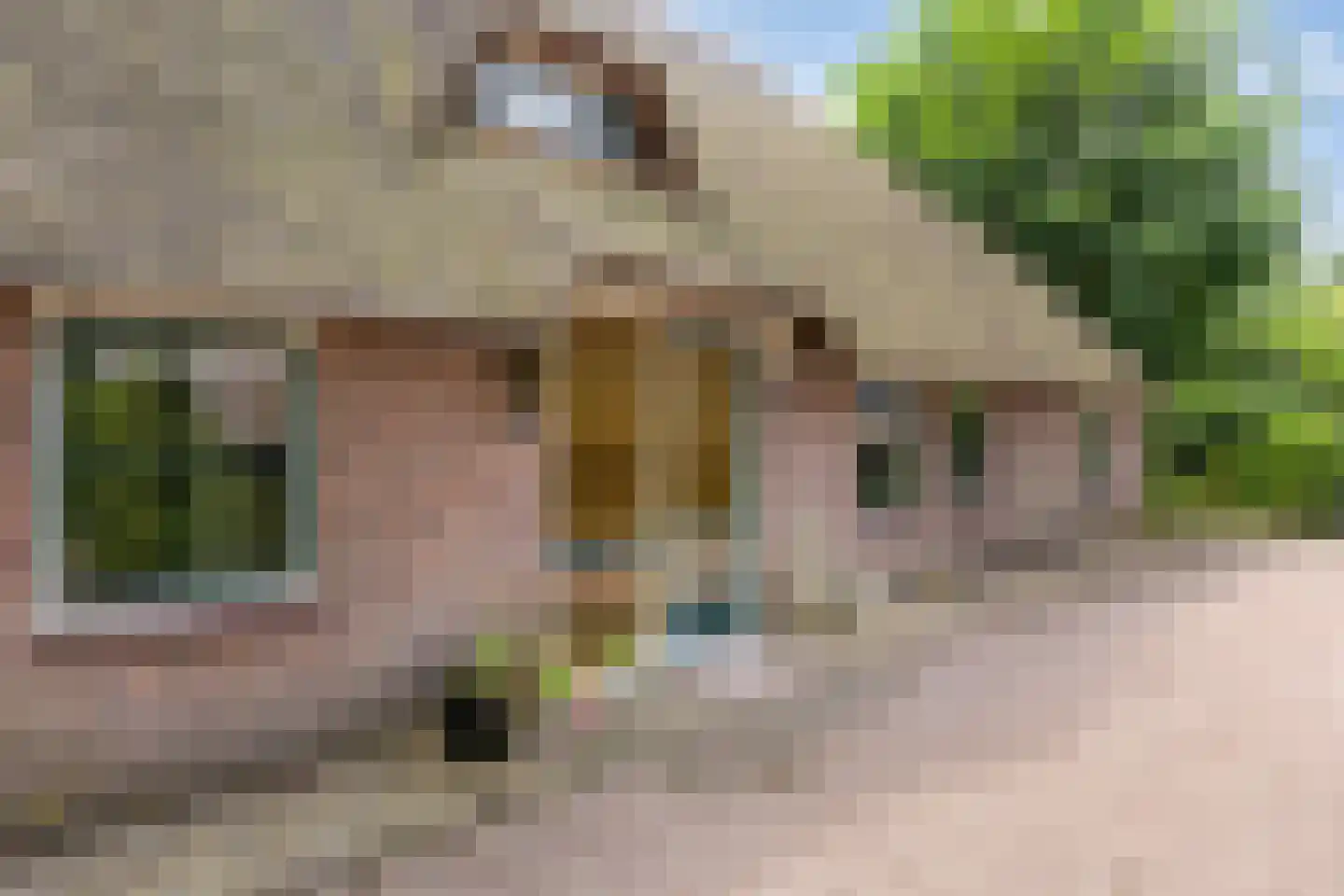 Kuyerhuislaan 17 Zwolle thumbnail 6