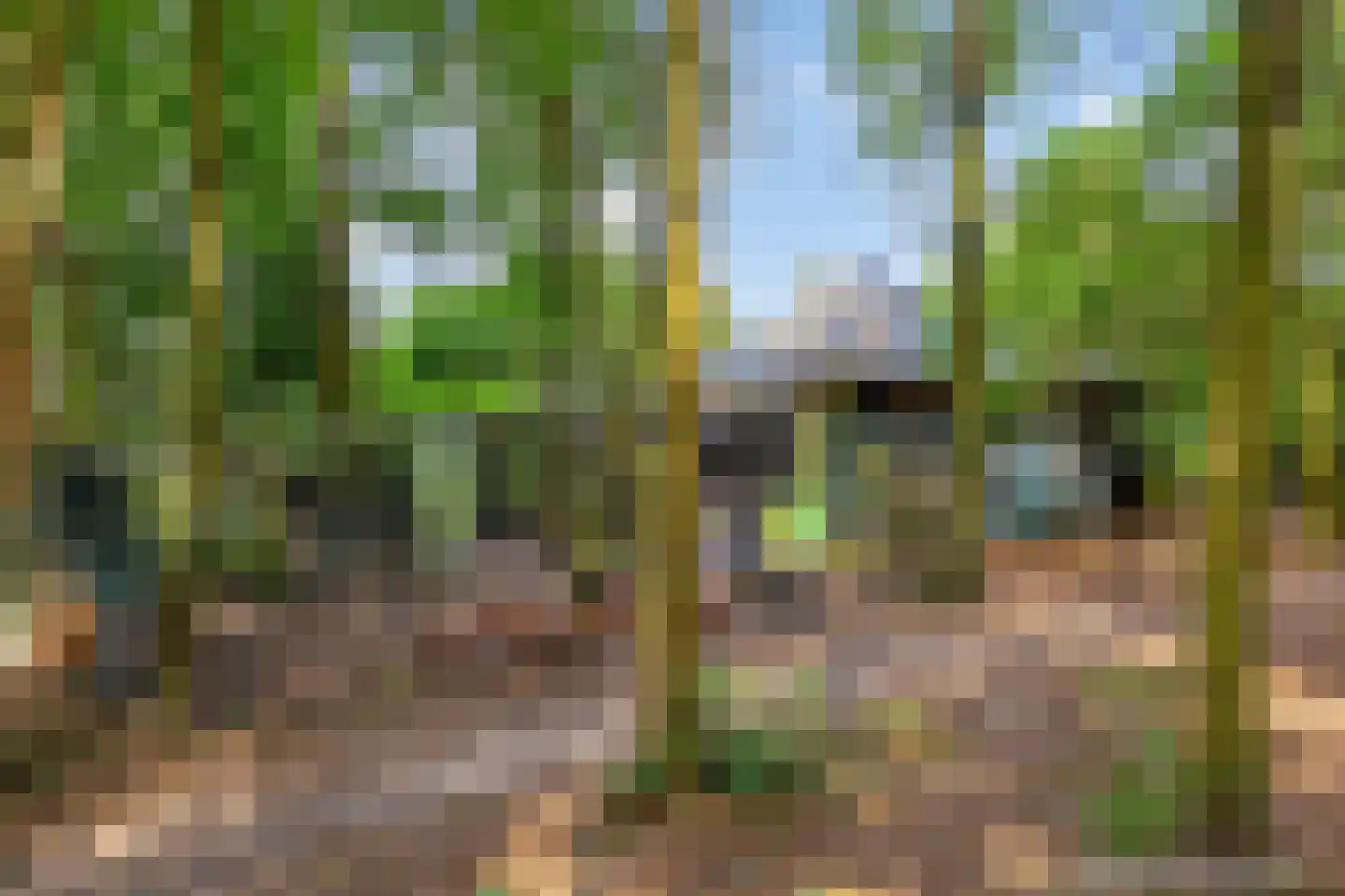 Kuyerhuislaan 17 Zwolle thumbnail 61