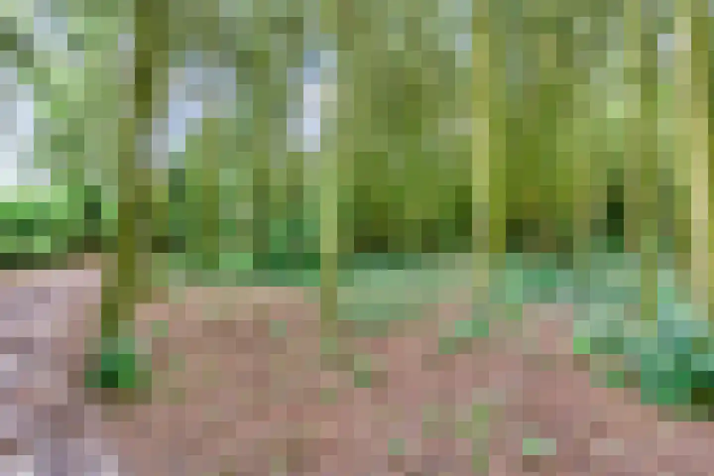 Kuyerhuislaan 17 Zwolle thumbnail 63