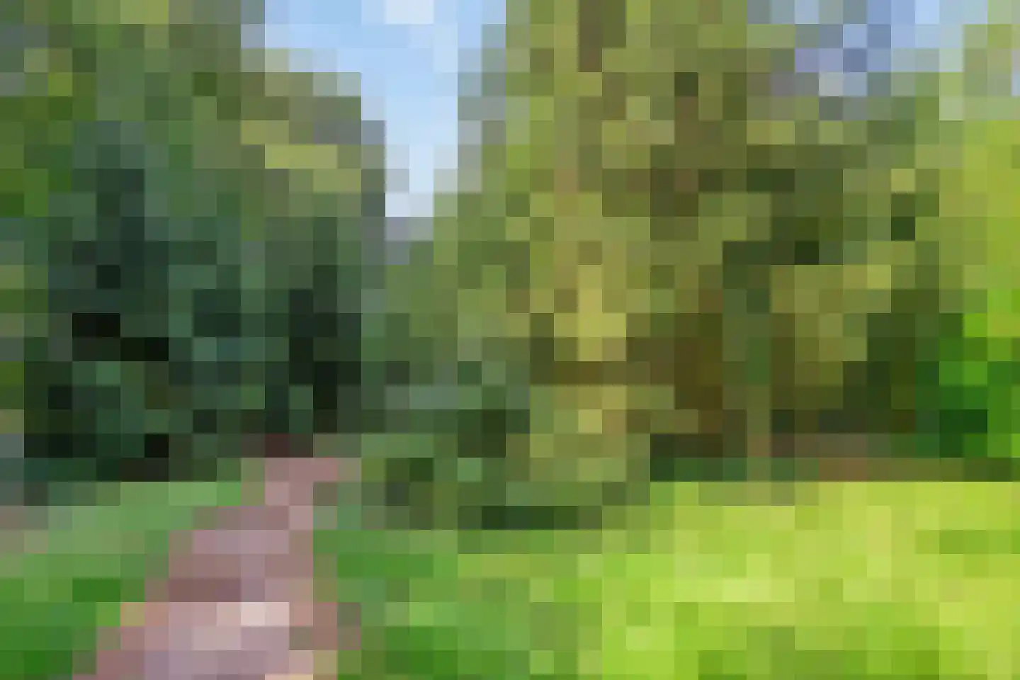 Kuyerhuislaan 17 Zwolle thumbnail 65