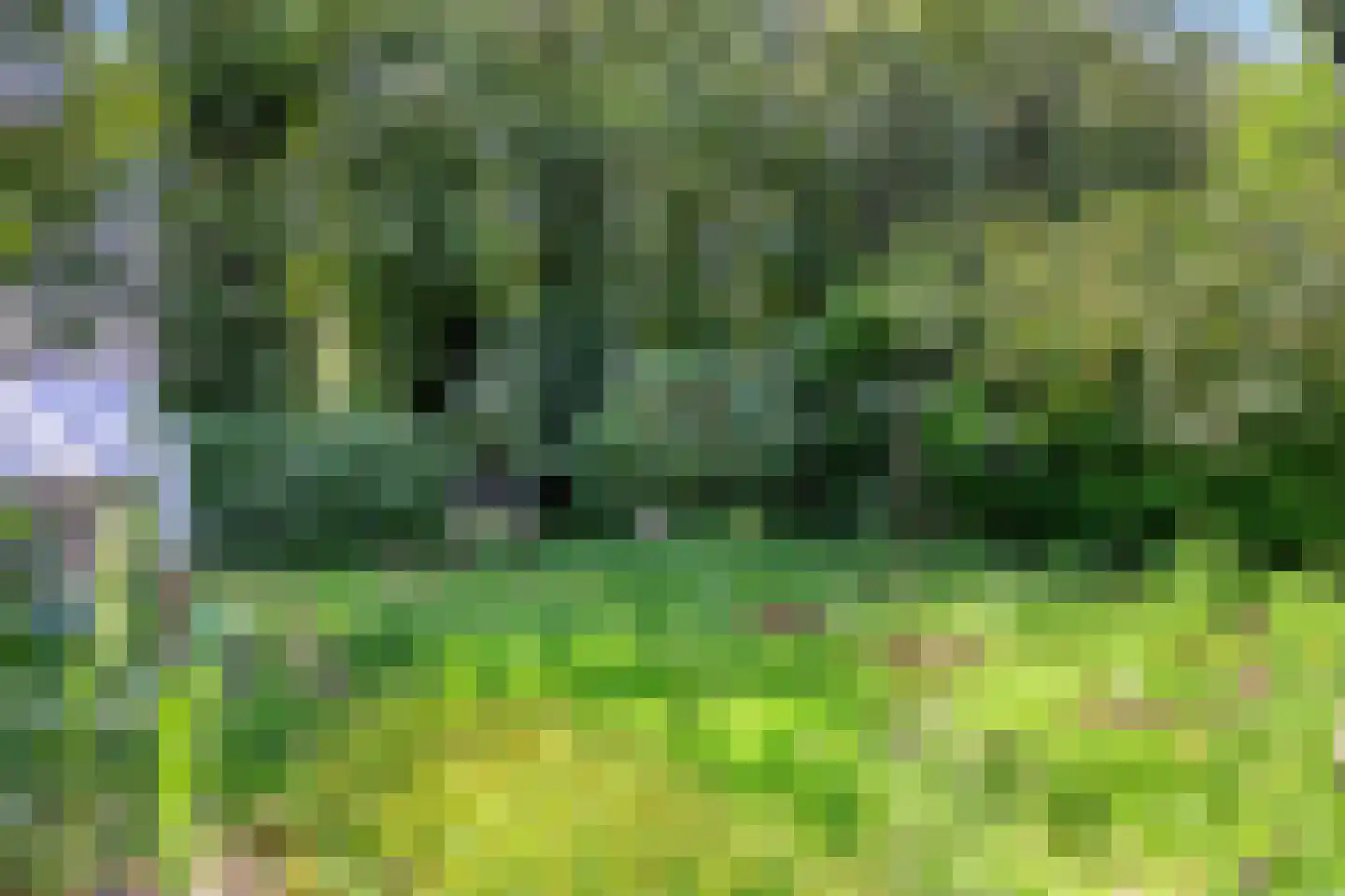 Kuyerhuislaan 17 Zwolle thumbnail 68