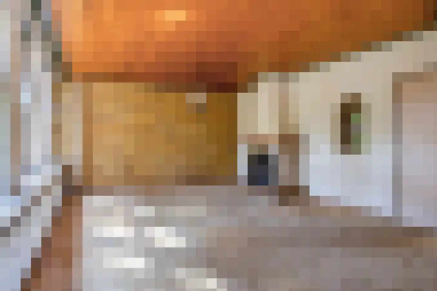 Kuyerhuislaan 17 Zwolle thumbnail 7