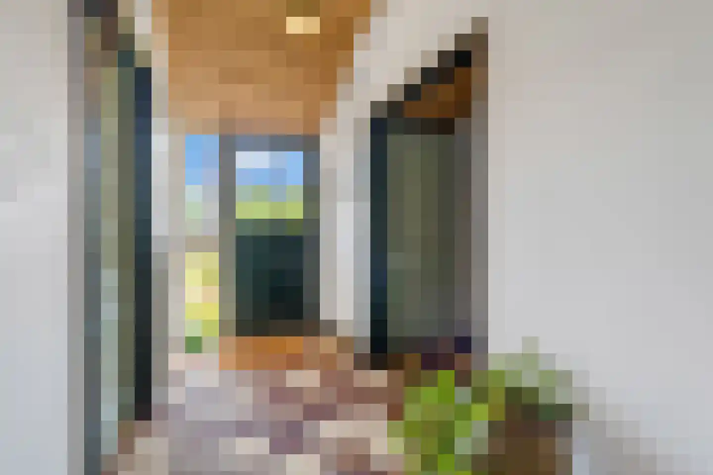 Kuyerhuislaan 28 Zwolle thumbnail 13