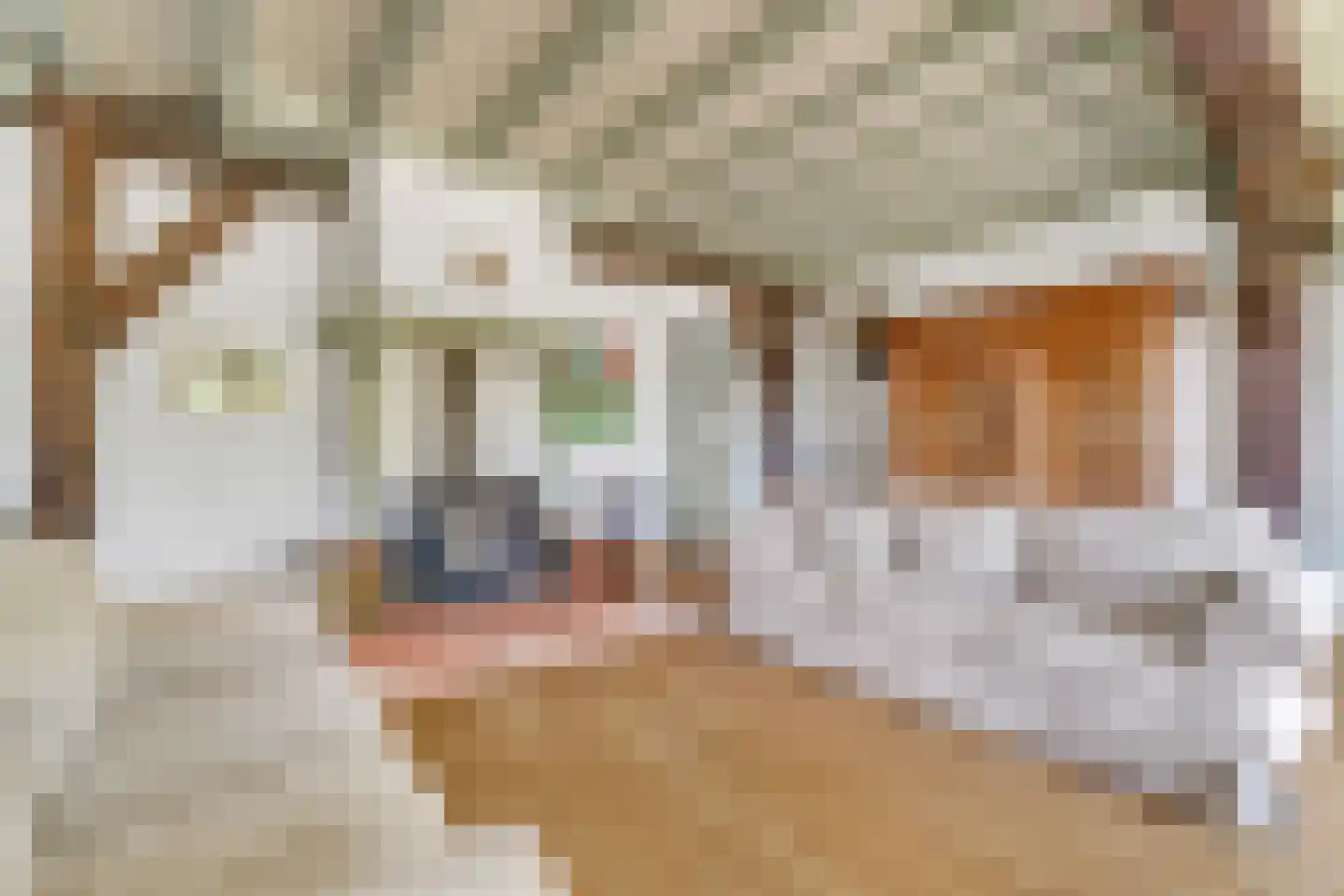 Kuyerhuislaan 28 Zwolle thumbnail 18