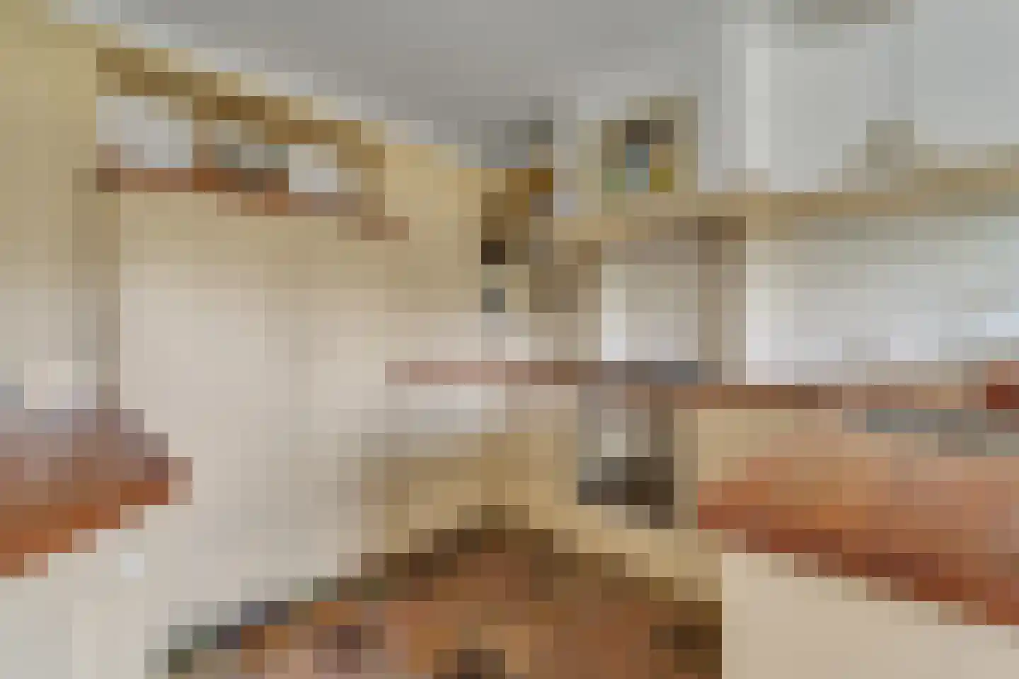 Kuyerhuislaan 28 Zwolle thumbnail 20