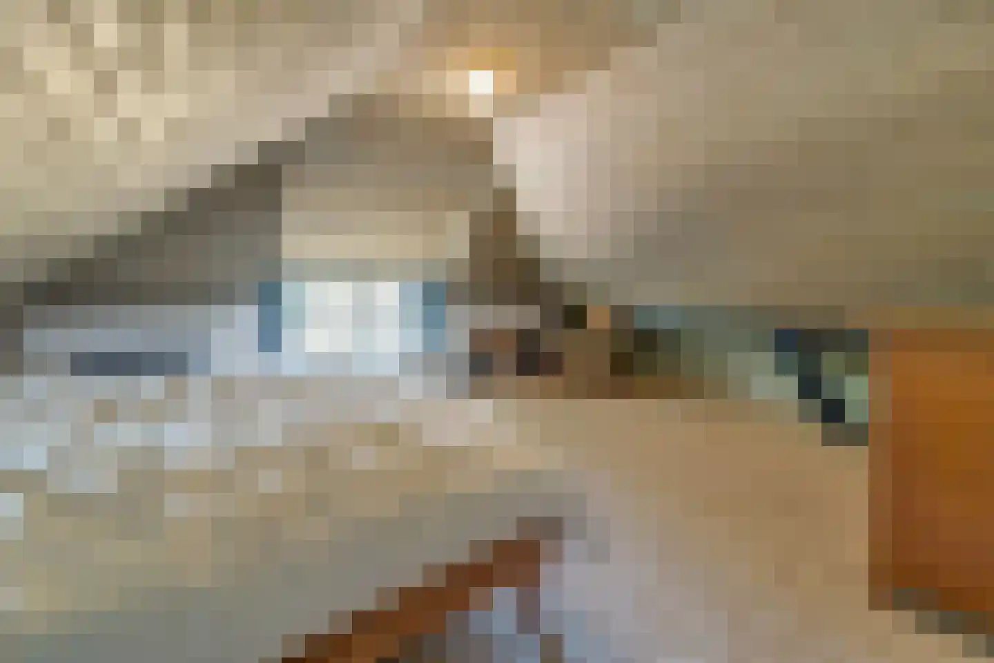 Kuyerhuislaan 28 Zwolle thumbnail 31