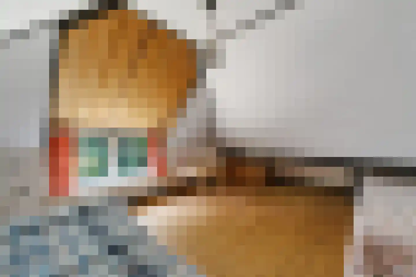 Kuyerhuislaan 28 Zwolle thumbnail 34