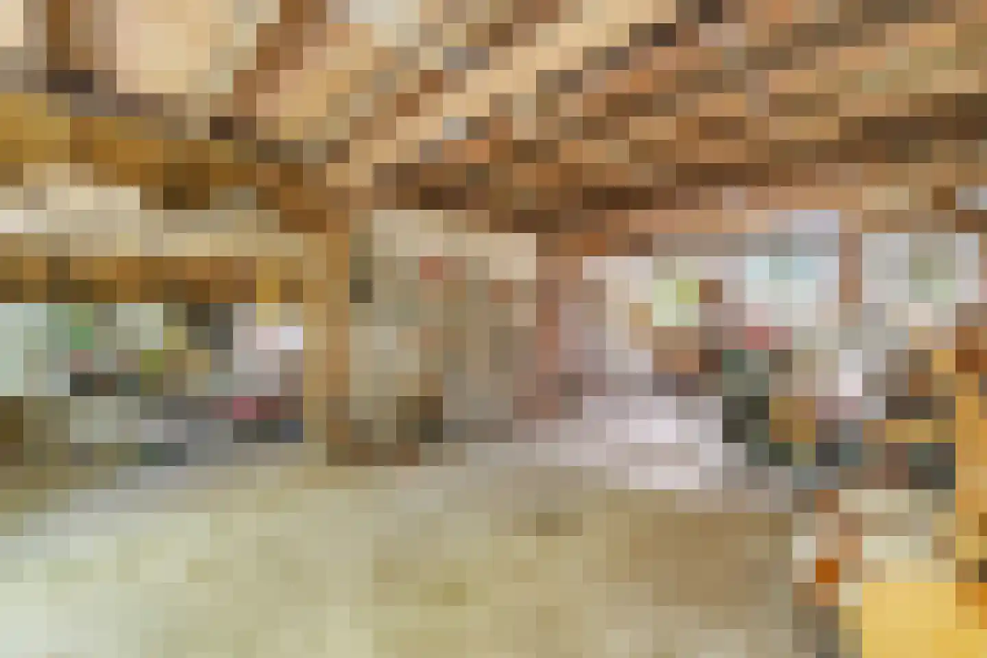 Kuyerhuislaan 28 Zwolle thumbnail 37