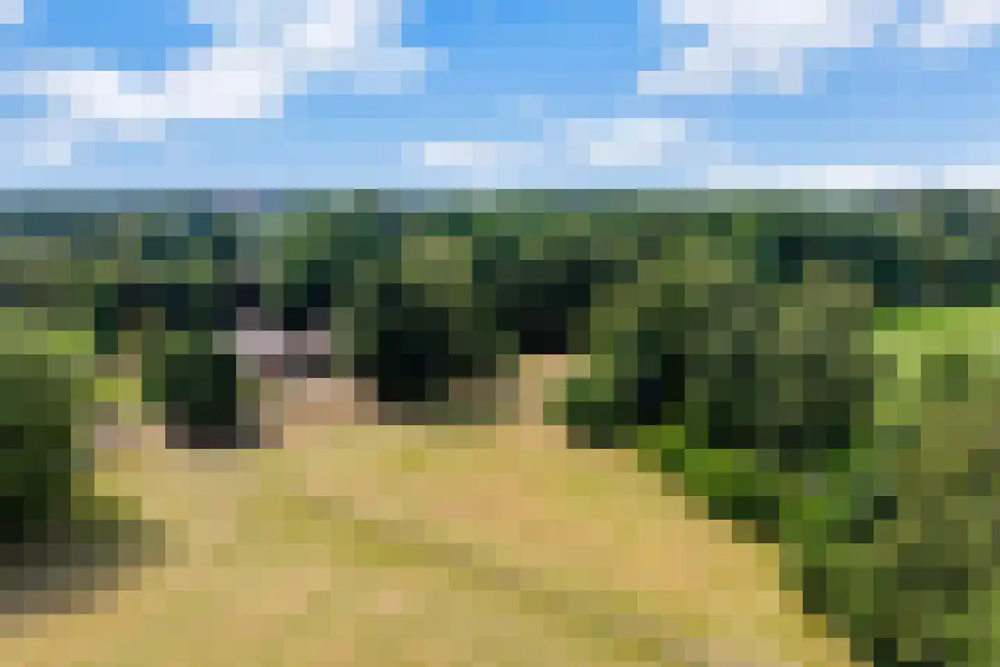 Kuyerhuislaan 28 Zwolle thumbnail 4