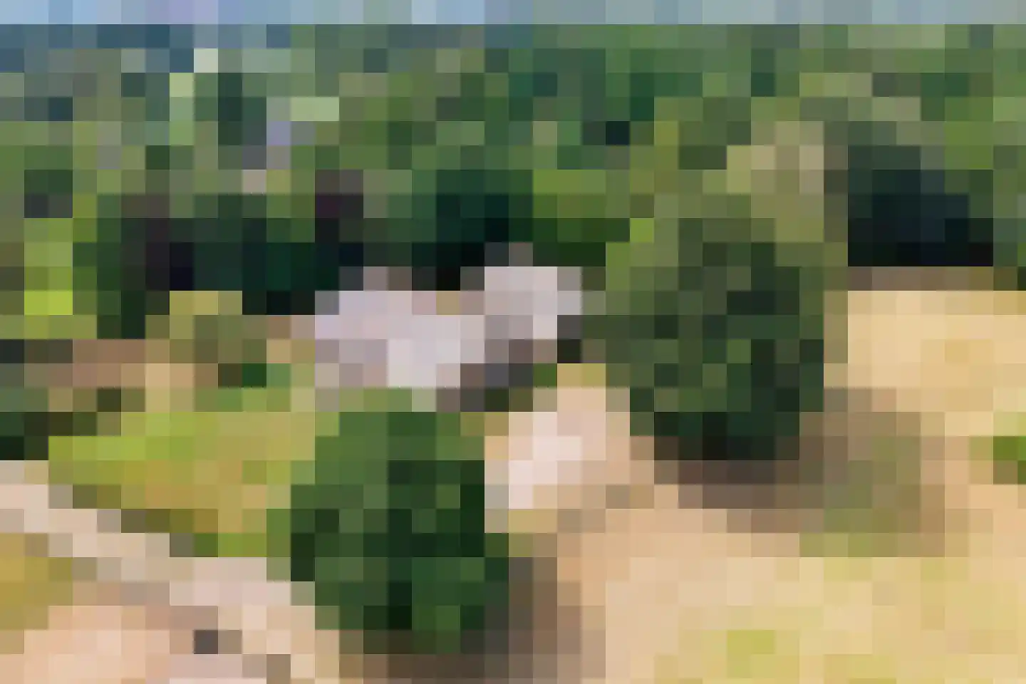Kuyerhuislaan 28 Zwolle thumbnail 5