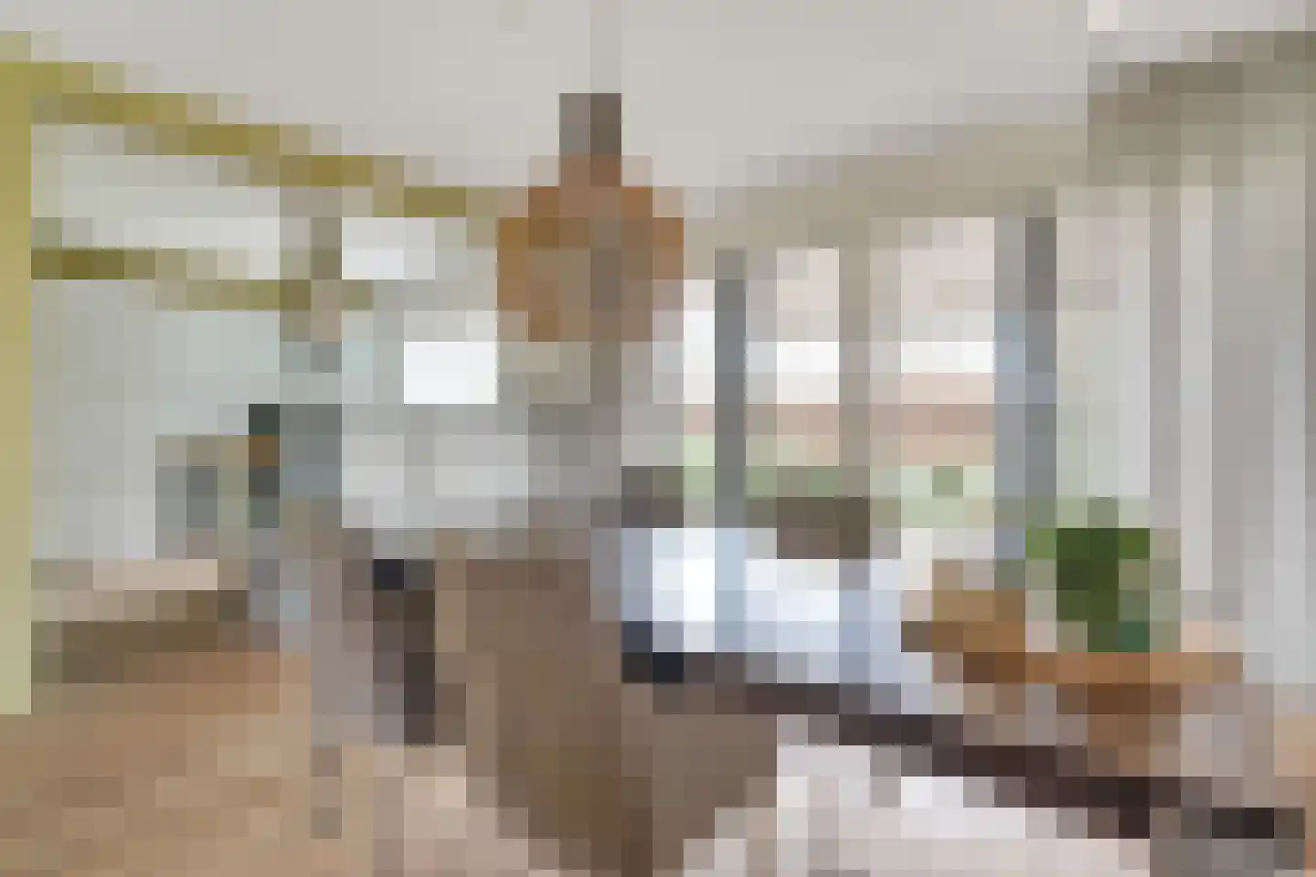 Kuyerhuislaan 30 Zwolle thumbnail 11